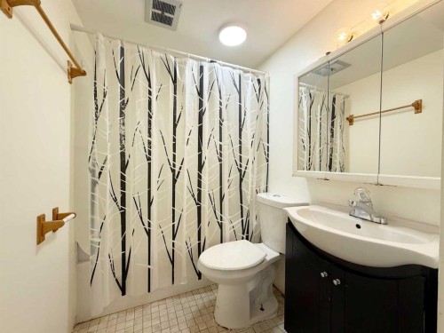 1045 17 Avenue, Wainwright, AB - Indoor Photo Showing Bathroom