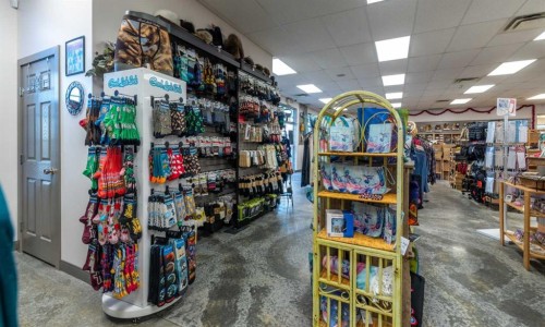 4305 57 Avenue, Lloydminster, AB 