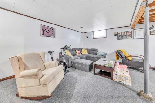 4604 56 Avenue, Lloydminster, AB - Indoor Photo Showing Basement