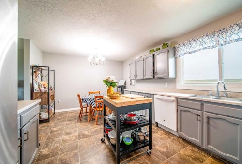 52005 Twp Rd 443, Rural Wainwright No. 61, M.D. Of, AB - Indoor Photo Showing Kitchen With Double Sink