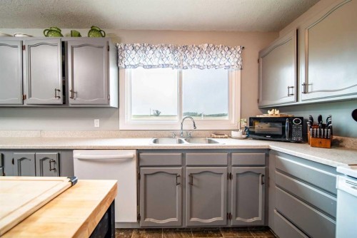 52005 Twp Rd 443, Rural Wainwright No. 61, M.D. Of, AB - Indoor Photo Showing Kitchen With Double Sink