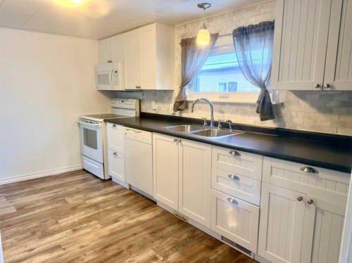 1033 16 Avenue, Wainwright, AB - Indoor Photo Showing Kitchen With Double Sink