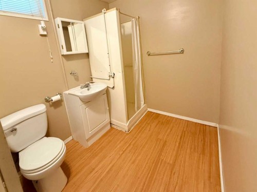 1033 16 Avenue, Wainwright, AB - Indoor Photo Showing Bathroom