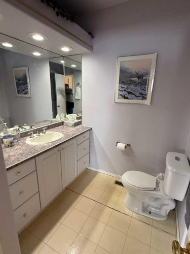 4606 50 Avenue, Vermilion, AB - Indoor Photo Showing Bathroom