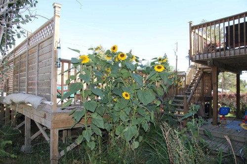 220 1 Avenue East, Maidstone, SK - Outdoor