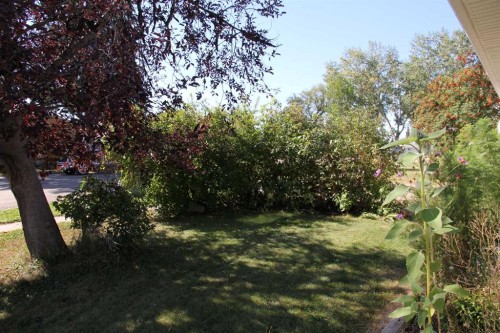 220 1 Avenue East, Maidstone, SK - Outdoor