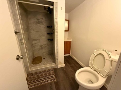 1126 6 Avenue, Wainwright, AB - Indoor Photo Showing Bathroom