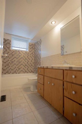 518 3 Street, Wainwright, AB - Indoor Photo Showing Bathroom