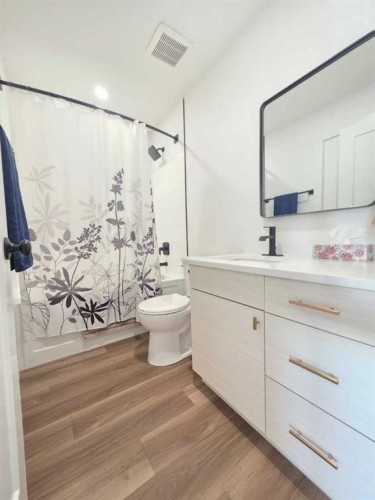 2713 11 Avenue, Wainwright, AB - Indoor Photo Showing Bathroom