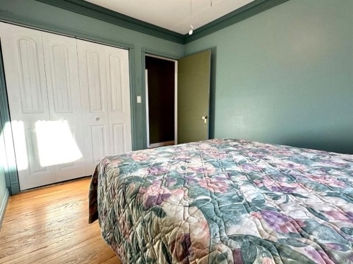 1217 4 Avenue, Wainwright, AB - Indoor Photo Showing Bedroom
