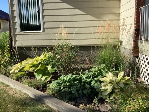 1217 4 Avenue, Wainwright, AB - Outdoor