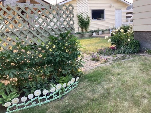 1217 4 Avenue, Wainwright, AB - Outdoor