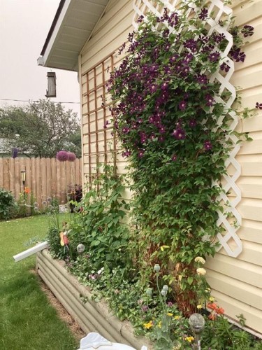 1217 4 Avenue, Wainwright, AB - Outdoor