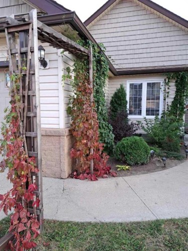 2837 12 Avenue, Wainwright, AB - Outdoor