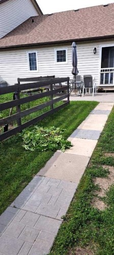 2837 12 Avenue, Wainwright, AB - Outdoor