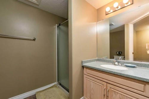 4002 60 Avenue, Lloydminster, AB - Indoor Photo Showing Bathroom