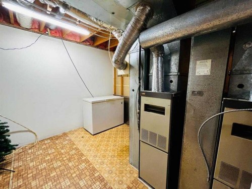 21 1 Avenue West, Derwent, AB - Indoor Photo Showing Basement