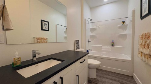 451043 Rng Rd 65, Wainwright, AB - Indoor Photo Showing Bathroom