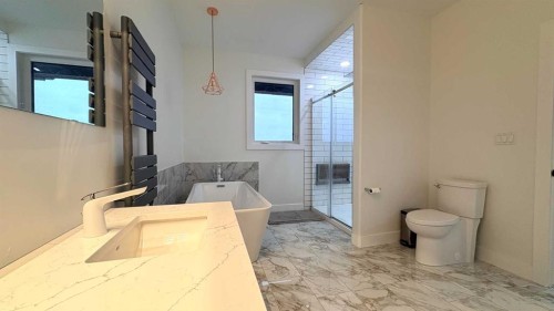 451043 Rng Rd 65, Wainwright, AB - Indoor Photo Showing Bathroom