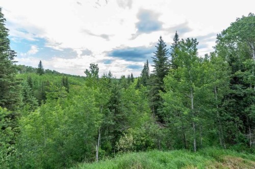 62407 Range Road 431, Ardmore, AB - Outdoor With View
