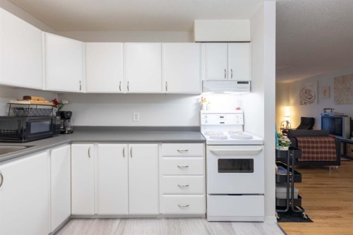 10-5538 49 Avenue, Lloydminster, SK - Indoor Photo Showing Kitchen