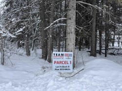 221 Walanne Way Turtle Lake, SK S0M 1J0