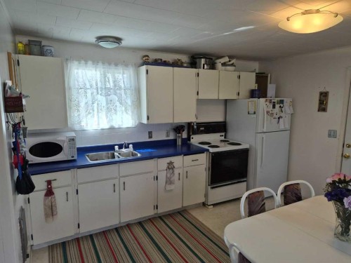 308 Pines Crescent, Turtle Lake, SK - Indoor Photo Showing Kitchen With Double Sink