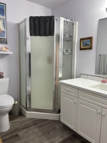 5307 40A Street, Provost, AB - Indoor Photo Showing Bathroom