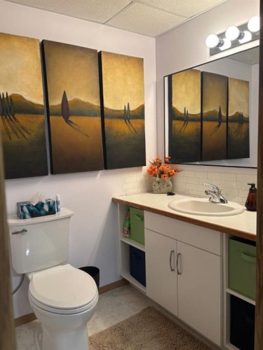 5307 40A Street, Provost, AB - Indoor Photo Showing Bathroom
