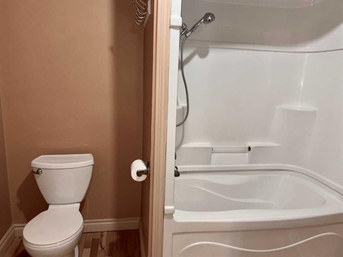 4923 52 Street, Innisfree, AB - Indoor Photo Showing Bathroom