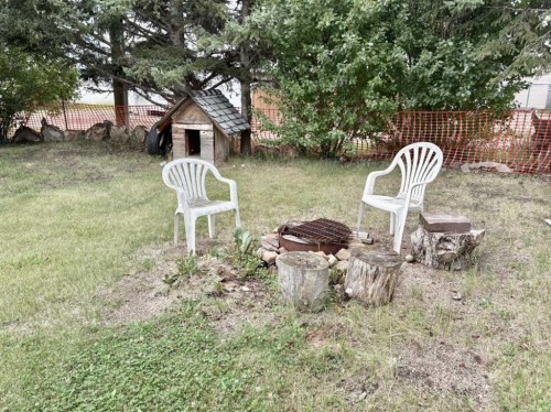4923 52 Street, Innisfree, AB - Outdoor