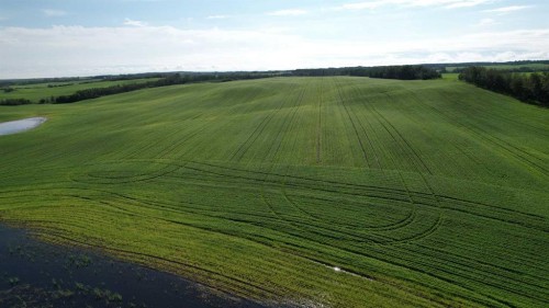 Rr 115 Twp Rd 554, Rural Two Hills No. 21, County Of, AB - Outdoor With View