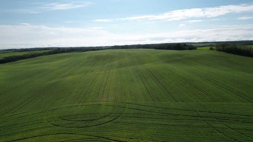 Rr 115 Twp Rd 554, Rural Two Hills No. 21, County Of, AB - Outdoor With View
