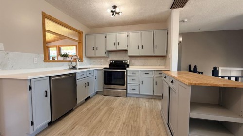 5205 32 Street, Lloydminster, AB - Indoor Photo Showing Kitchen