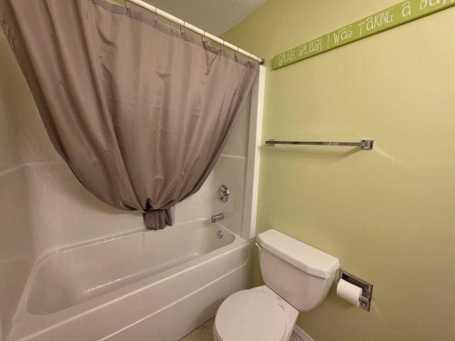 4105 67Th Avenue, Lloydminster, AB - Indoor Photo Showing Bathroom