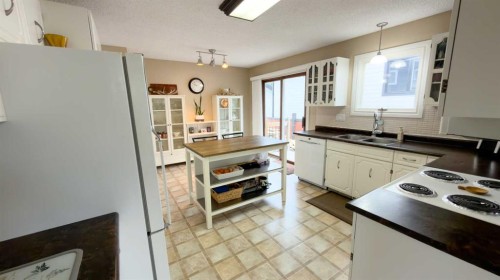 1213 4 Avenue, Wainwright, AB - Indoor Photo Showing Kitchen With Double Sink