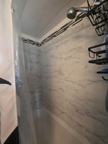454004 Range Rd 65, Rural Wainwright No. 61, M.D. Of, AB - Indoor Photo Showing Bathroom