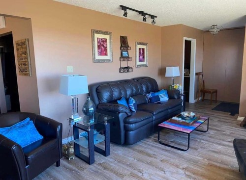 49425 Hwy 870, Innisfree, AB - Indoor Photo Showing Living Room