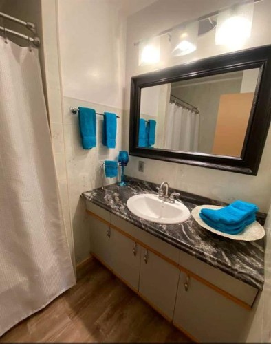 49425 Hwy 870, Innisfree, AB - Indoor Photo Showing Bathroom