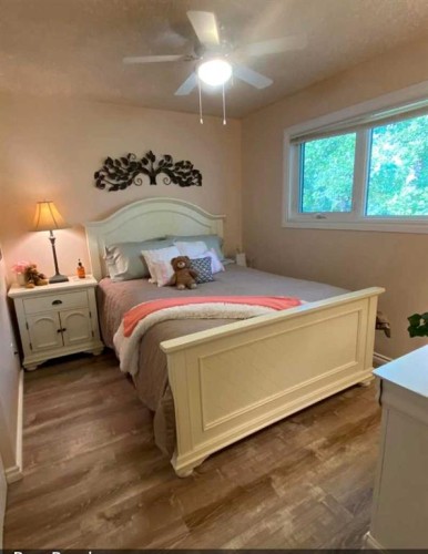 49425 Hwy 870, Innisfree, AB - Indoor Photo Showing Bedroom