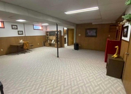 49425 Hwy 870, Innisfree, AB - Indoor Photo Showing Basement