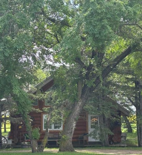 49425 Hwy 870, Innisfree, AB - Outdoor