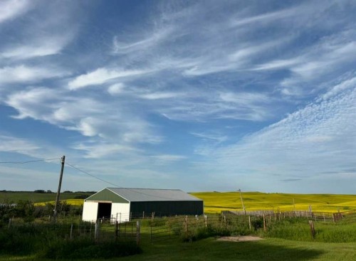 49425 Hwy 870, Innisfree, AB - Outdoor With View