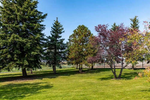 451066 Rge Rd 73, Rural Wainwright No. 61, M.D. Of, AB - Outdoor With View