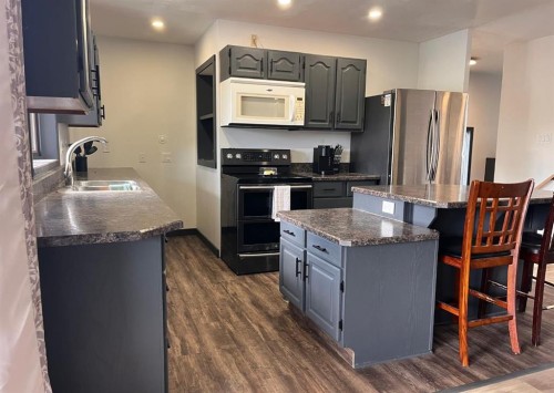 1005 15 Street, Wainwright, AB - Indoor Photo Showing Kitchen With Double Sink