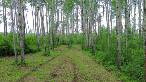 40 Prosser Drive, Branch Lake, SK 
