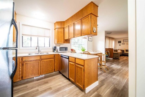 4911 51 Street, Czar, AB - Indoor Photo Showing Kitchen With Double Sink