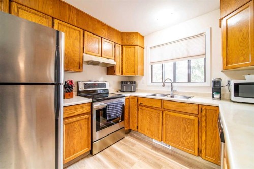 4911 51 Street, Czar, AB - Indoor Photo Showing Kitchen With Double Sink