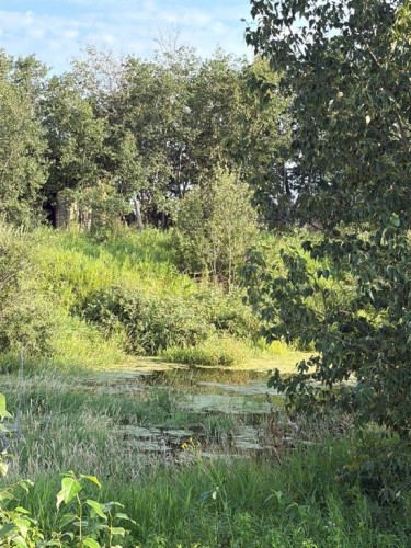 Se 26-52-3 W4 Twp Road 524, Marwayne, AB 