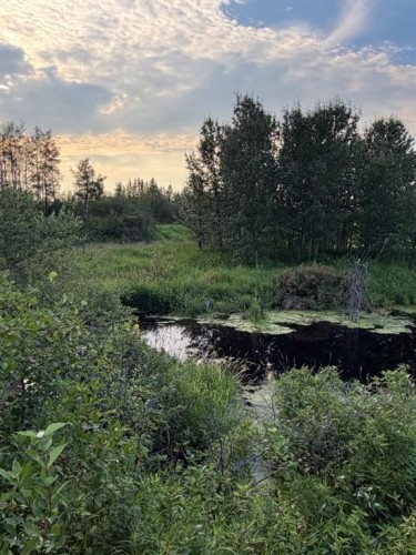 Se 26-52-3 W4 Twp Road 524, Marwayne, AB 